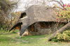 Nkwasi Lodge 3